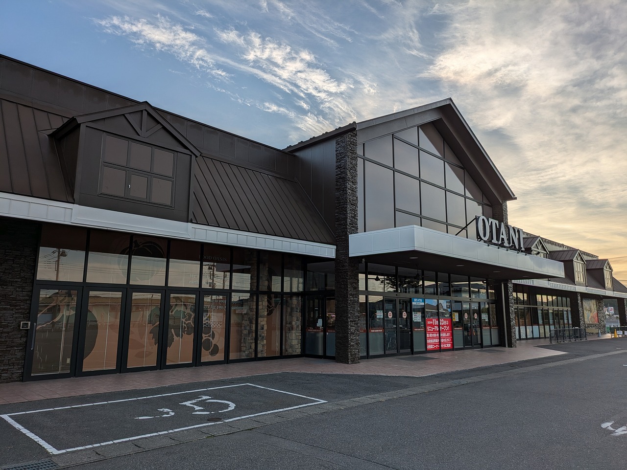 【送料込み】クイーンオアシス(パイオニア) ASICS｜ABC-MART GRAND STAGE【公式通販】